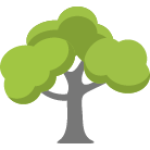 Buford Tree Trimming