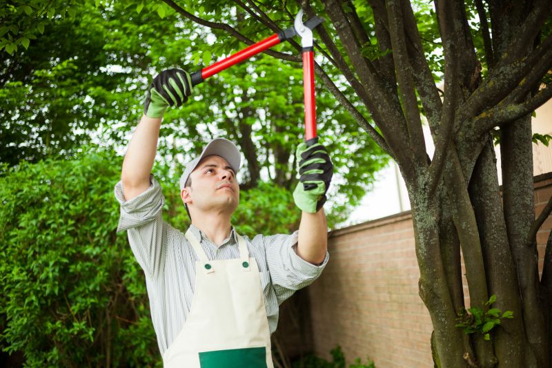 Tree Maintenance Equipment