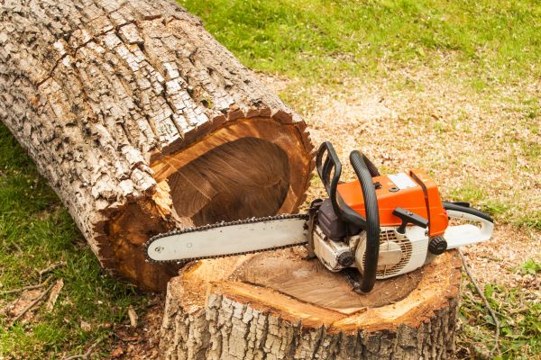 Tree Cutting Service in Buford